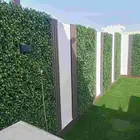 تنسيق حدائق جده