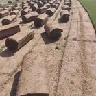 عملائناالكرم يوجدلديناجميع انواع الثيل الطبيعي الممتاز