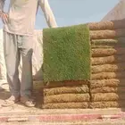 يوجدلديناجميع انواع الثيل الطبيعي الممتاز يبانيوانتورو فرنسي