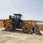 سائق شيول مصري