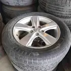 جنوط رفور 17بكفرت