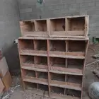 بيوت لتفريخ وبيض الدواجن