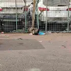 هيونداي سنتافي جنسس