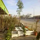 تنسيق الحدائق وتوريد الأشجار وتركيب شبكات الري