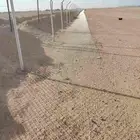 مقاول شبوك  شبوك مزارع