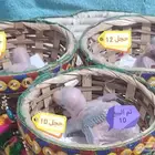 فروخ دره هندي انتاج محلي1447