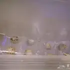 طبق بيض سمان مخصب