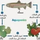 إنشاء مزارع الاكوابونيك الاستزراع السمكي