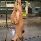 مشاوي الرياض