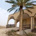 لتوريد النخل العربي والواشنطني والسياجات بجميع انواعها والحد
