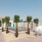 زراعه نخيل واشنطنيا والعشب الطبيعي