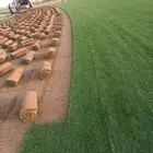 ثيل فرنسي