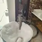 ارخص تسليك مجاري