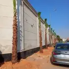 زراعه النخل وأشجار الزينه