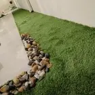 عشب ارضى عشب جدارى