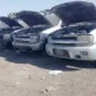 مكائن بليزر انفوي مع التركيب والضمان