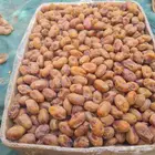 يوجد الدينا خلاص اشيقر ألكميه 50طن تقريبا