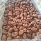 يوجد الدينا عدات نواع تمور خلاص وخظري