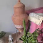 اثاث بحالة ممتازة ..نباتات داخلية وخارجية