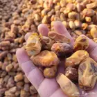 علف تمر 350 كيس تم البيع