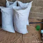 علف تمر 250 كيس تم البيع