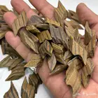 عود تايقر الذهب من طيب التراد للعود (سعر المصدر)