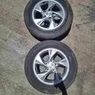 جنوط 15 شبه الجديد 2