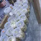 ستيكرات جوال