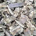 عود صيني درجه اولا على الشرط للتواصل