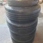 جنوط شروكي