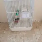 ثلاثه أقفاص للبيع