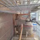 طيور جاوا فنش