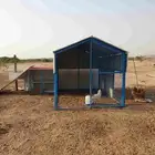 شبك دجاج شبة جديد