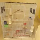 قفص مطير للبيع