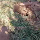 يوجد لدينا نقايل مشكلات