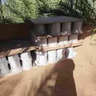 تمر كعيمر رقم 2 (عروض لطلب الكمية)