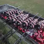 مشويات مشاوي شوي