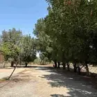 ارض زراعي للبيع الجبيل الصناعيه