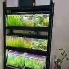 مجموعة احواض مزروعة مع ستاند