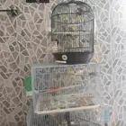 مجموعه طيور كناري ..