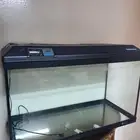 حوض سمك فارغ