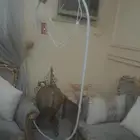 استاند للبيع