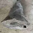 متوفر لدينا قيرات توضيب شد بلد مستورد