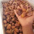 عجاين خلاص وخضري