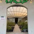 مشتل المدينة