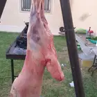 مشويات شوي خارجي معلم مشاوي تجهيز ذبايح