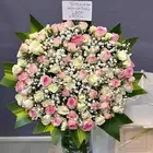 مندوب هداياء الدمام-الخبر