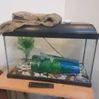 حوض سمك مع فلتر واحجار وخلفية اشجار يحتاج فقط تبديل لمبة ن