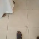 موبلت مستاق سر مناسبب