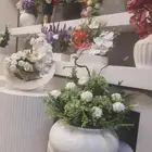 محل ساندي للورد والهدايه